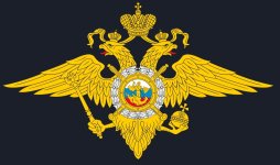 S50531-15443611(1).jpg