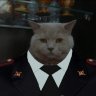 Yarik_Gureev