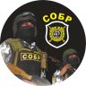 Yaromir_Falcon