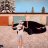 Niven_Matthews