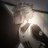 Shido_Ren