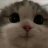 Andy_Murphy
