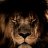 Abdullo_Alimov