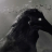 Alwaro_Mironov
