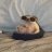 Kirill_Brago